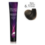 6.1 tinte dream