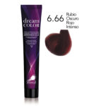 6.66 tinte dream