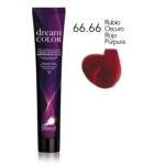 66.66 tinte dream